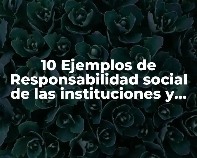 10 Ejemplos de Responsabilidad social de las instituciones y organizaciones