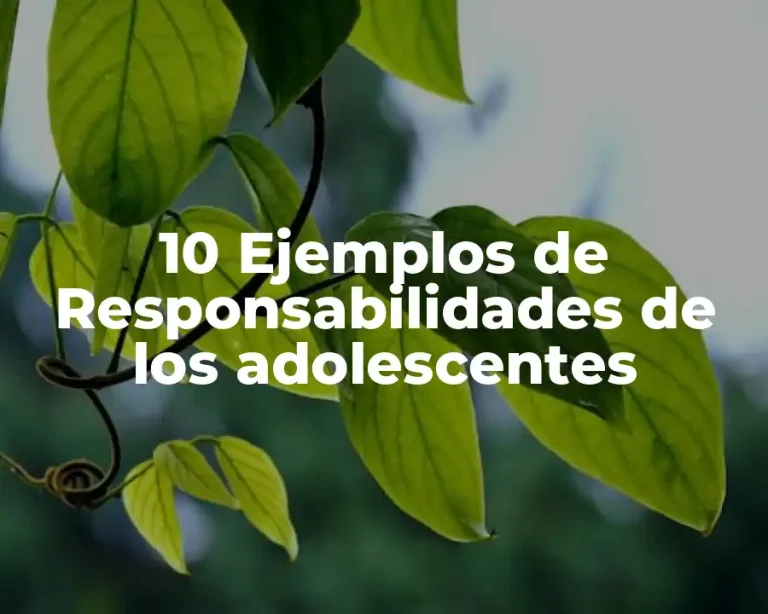 10 Ejemplos de Responsabilidades de los adolescentes