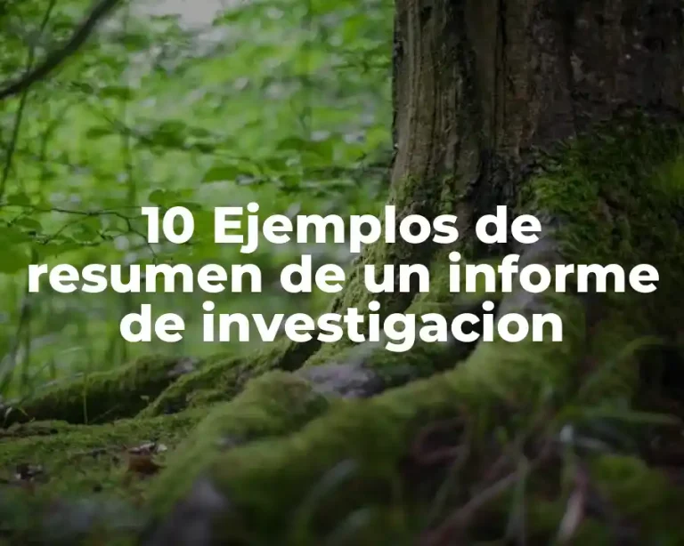 10 Ejemplos de resumen de un informe de investigacion