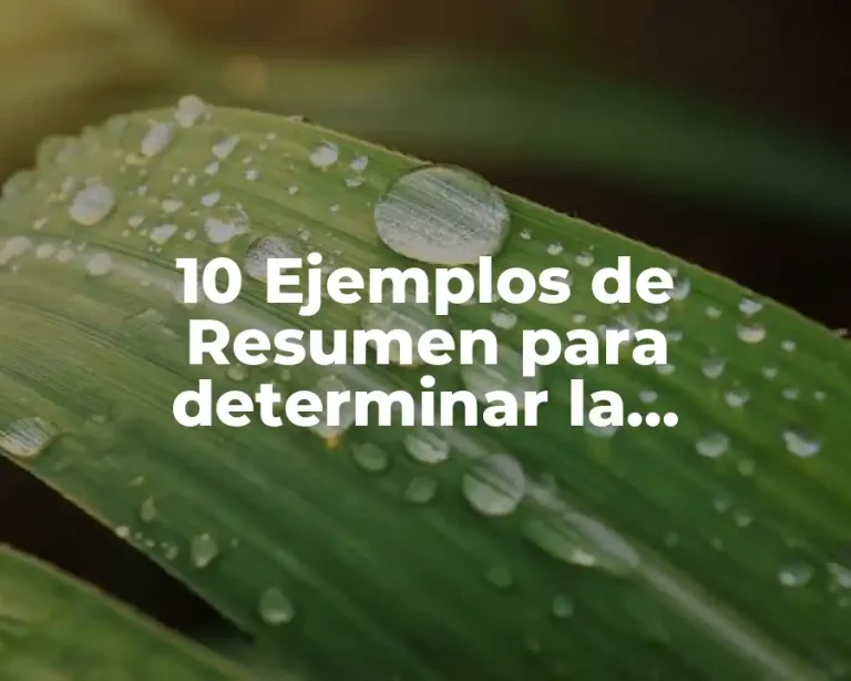 10 Ejemplos de Resumen para determinar la efectividad de la lombricomposta