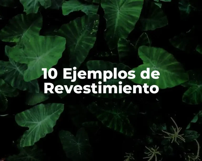 10 Ejemplos de Revestimiento
