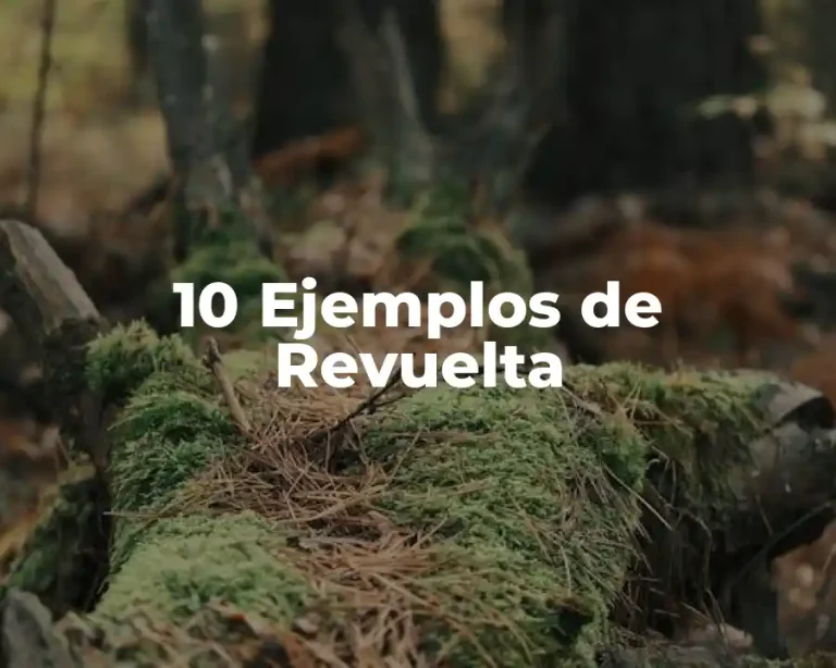 10 Ejemplos de Revuelta