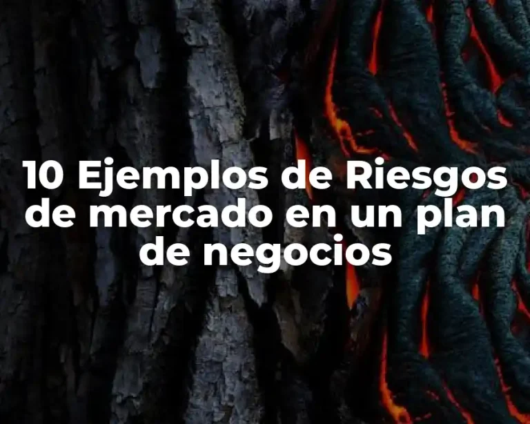 10 Ejemplos de Riesgos de mercado en un plan de negocios