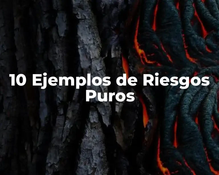 10 Ejemplos de Riesgos Puros