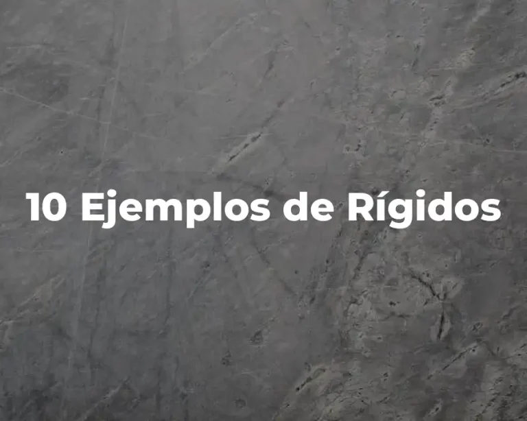 10 Ejemplos de Rígidos