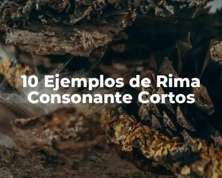 10 Ejemplos de Rima Consonante Cortos