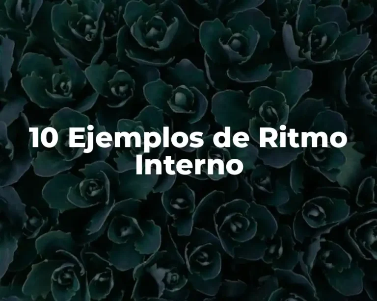 10 Ejemplos de Ritmo Interno