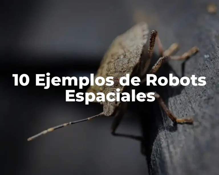 10 Ejemplos de Robots Espaciales