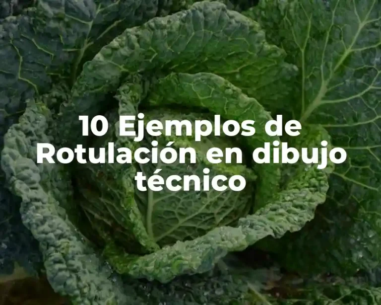 10 Ejemplos de Rotulación en dibujo técnico