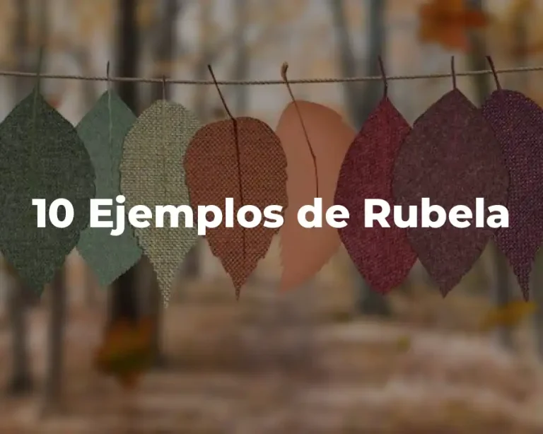 10 Ejemplos de Rubela