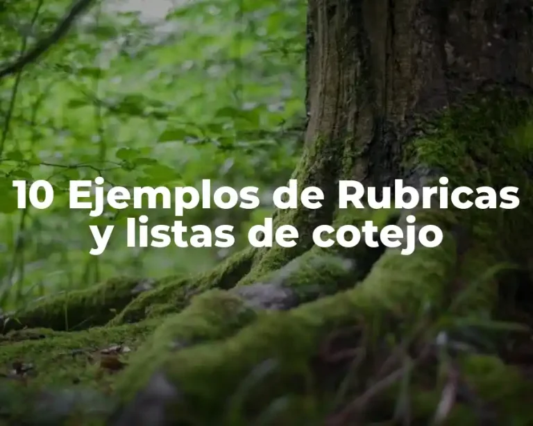 10 Ejemplos de Rubricas y listas de cotejo