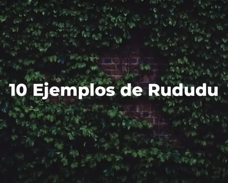 10 Ejemplos de Rududu