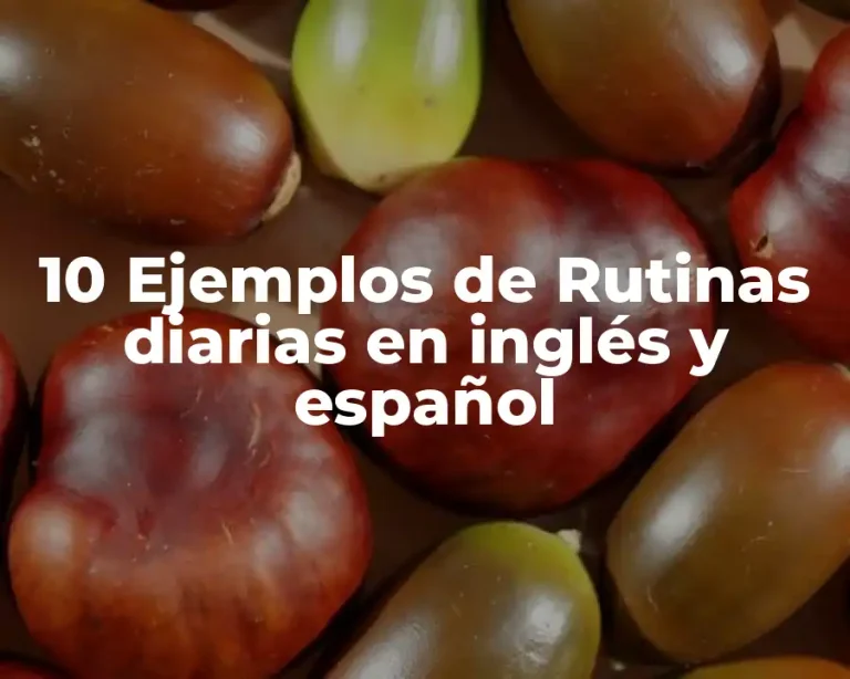 10 Ejemplos de Rutinas diarias en inglés y español
