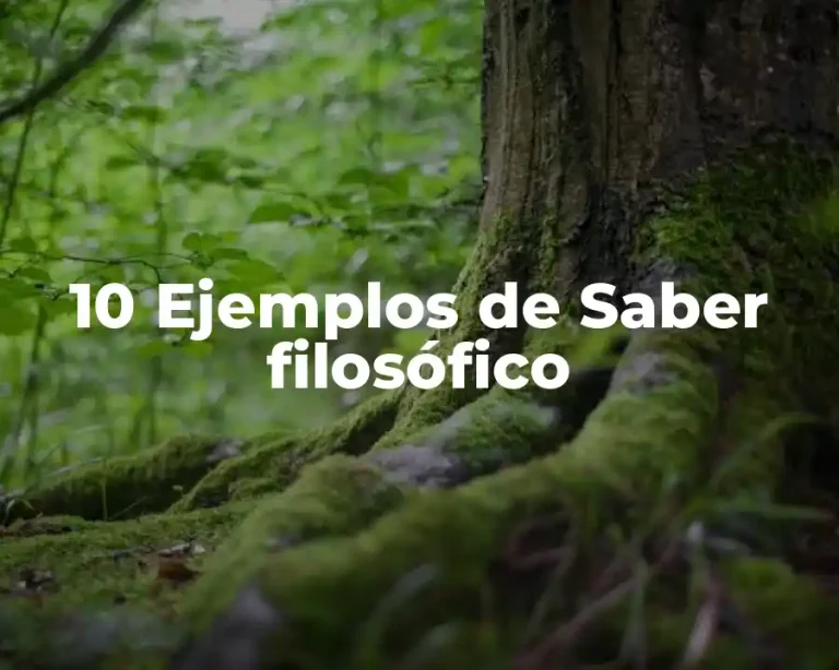 10 Ejemplos de Saber filosófico