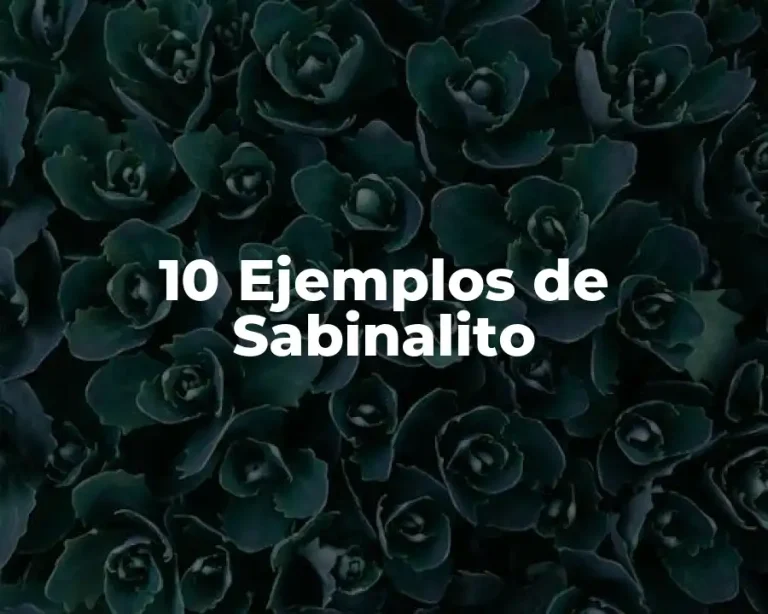 10 Ejemplos de Sabinalito