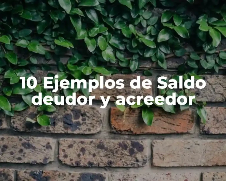 10 Ejemplos de Saldo deudor y acreedor