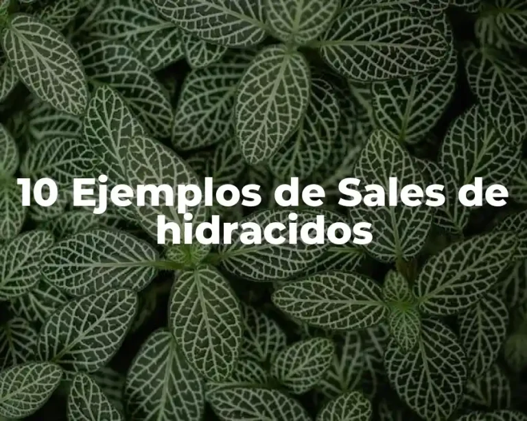 10 Ejemplos de Sales de hidracidos