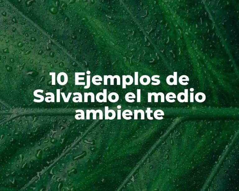 10 Ejemplos de Salvando el medio ambiente