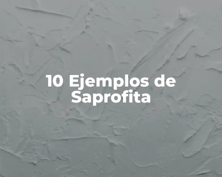 10 Ejemplos de Saprofita