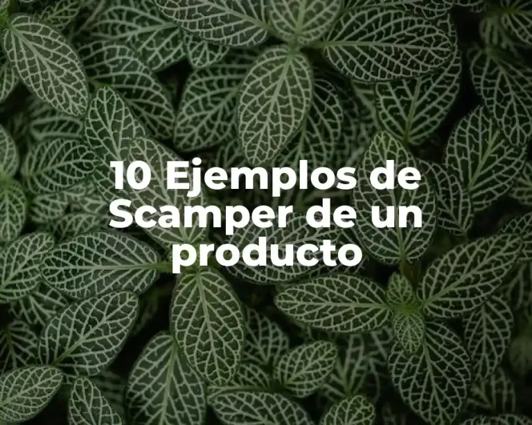 10 Ejemplos de Scamper de un producto