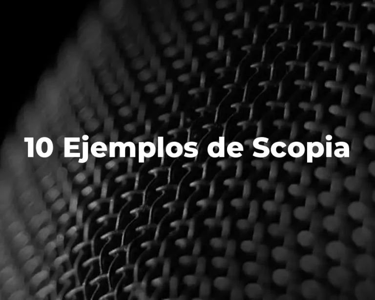 10 Ejemplos de Scopia