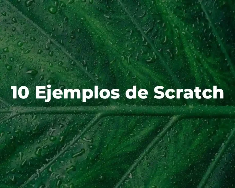 10 Ejemplos de Scratch