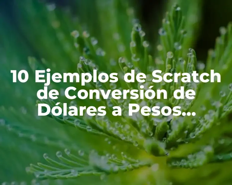 10 Ejemplos de Scratch de Conversión de Dólares a Pesos Mexicanos