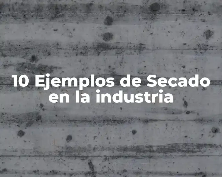 10 Ejemplos de Secado en la industria