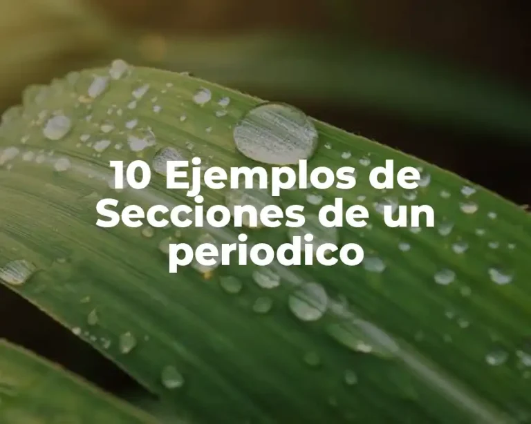 10 Ejemplos de Secciones de un periodico