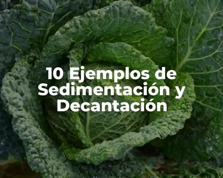 10 Ejemplos de Sedimentación y Decantación