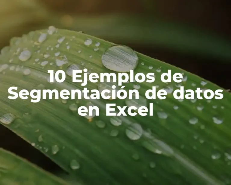 10 Ejemplos de Segmentación de datos en Excel