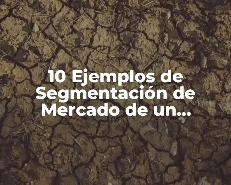 10 Ejemplos de Segmentación de Mercado de un Producto de Consumo