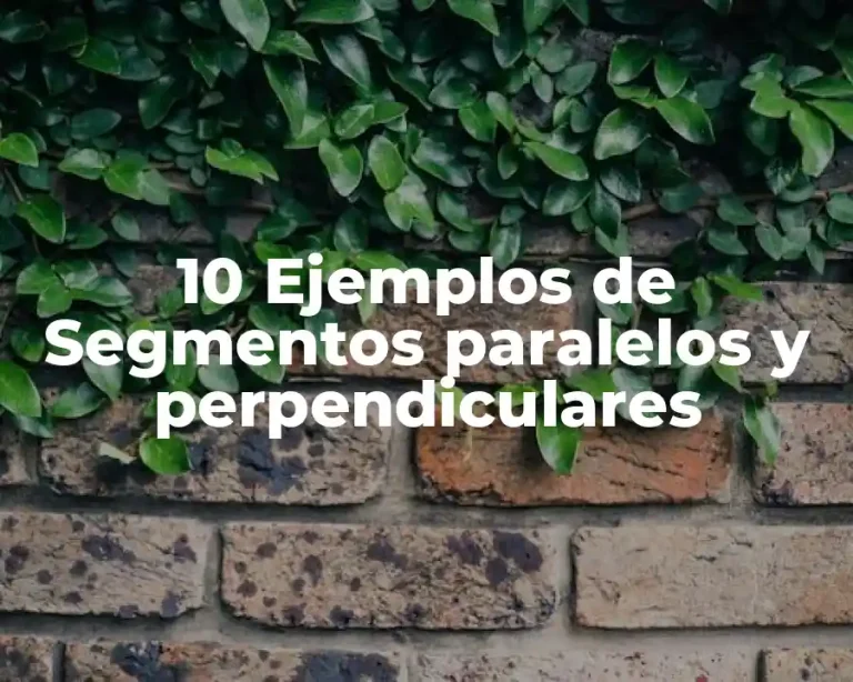 10 Ejemplos de Segmentos paralelos y perpendiculares