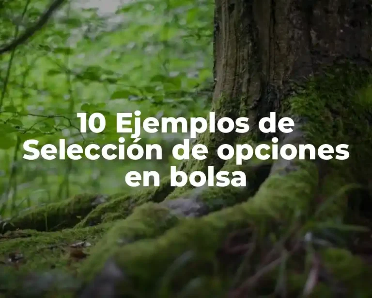 10 Ejemplos de Selección de opciones en bolsa