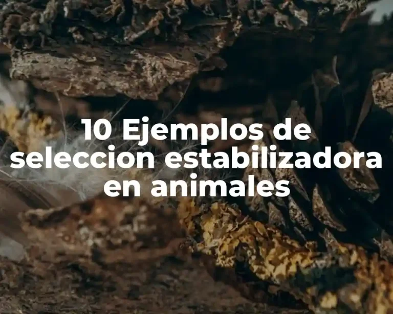 10 Ejemplos de seleccion estabilizadora en animales