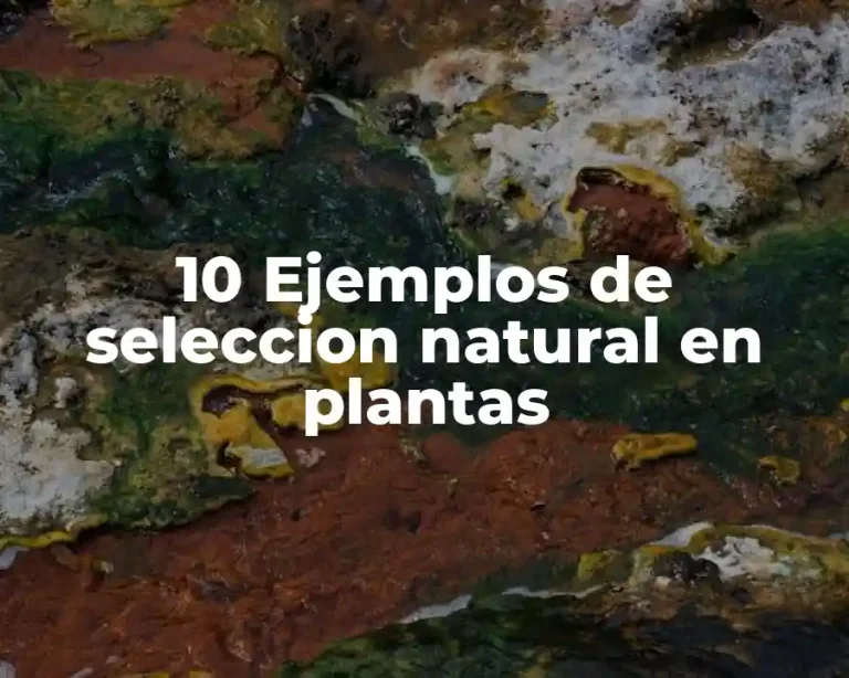 10 Ejemplos de seleccion natural en plantas