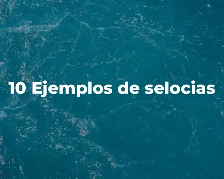 10 Ejemplos de selocias
