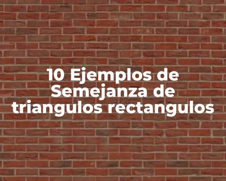 10 Ejemplos de Semejanza de triangulos rectangulos