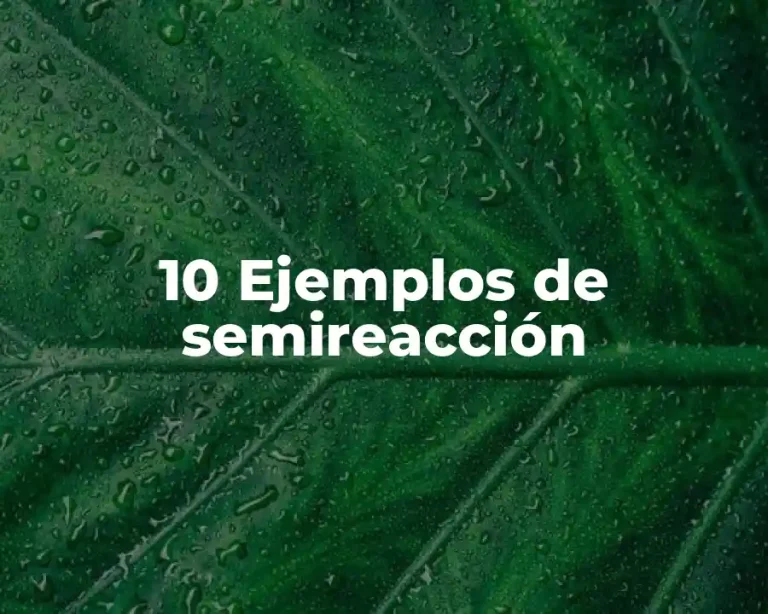 10 Ejemplos de semireacción
