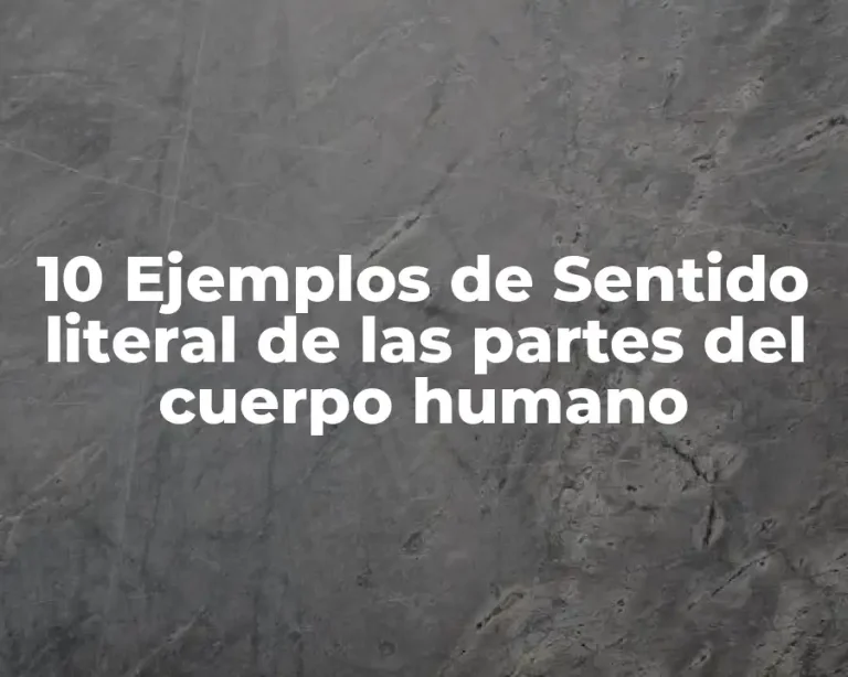 10 Ejemplos de Sentido literal de las partes del cuerpo humano