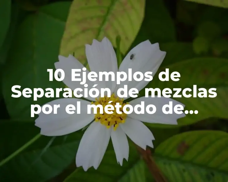 10 Ejemplos de Separación de mezclas por el método de cristalización