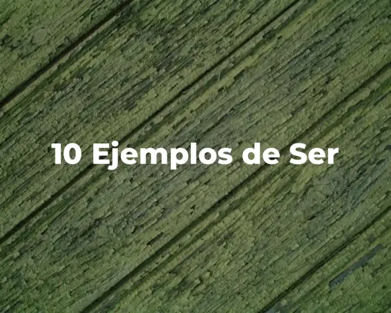 10 Ejemplos de Ser