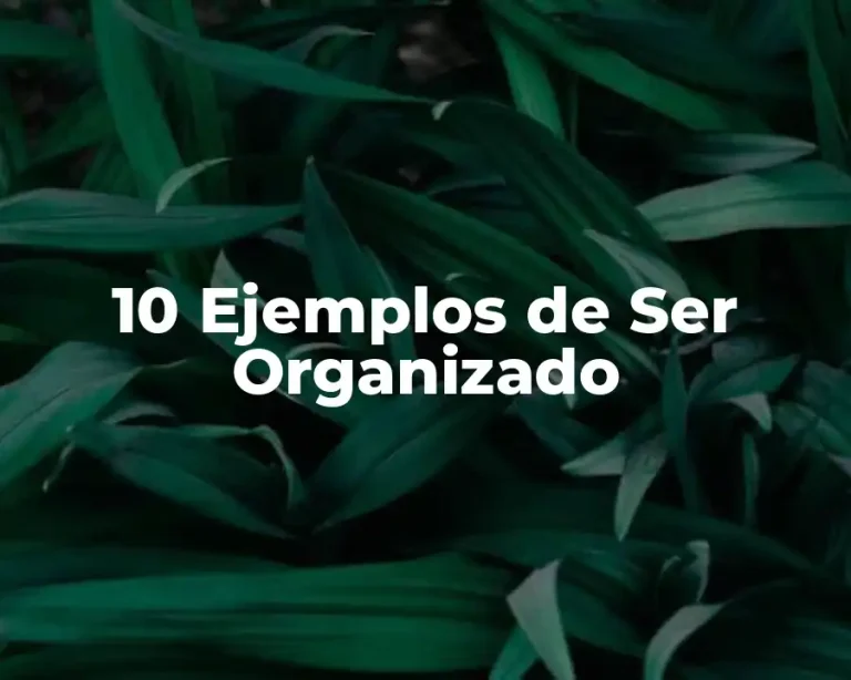 10 Ejemplos de Ser Organizado