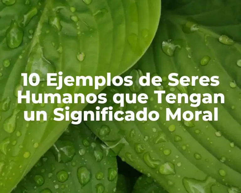10 Ejemplos de Seres Humanos que Tengan un Significado Moral
