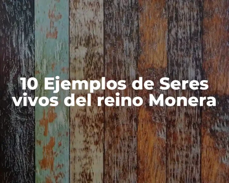 10 Ejemplos de Seres vivos del reino Monera