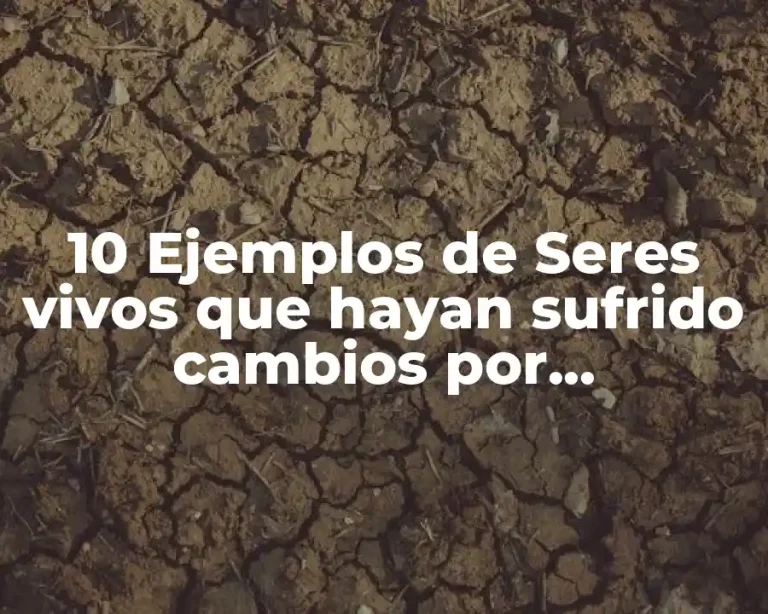 10 Ejemplos de Seres vivos que hayan sufrido cambios por contaminación