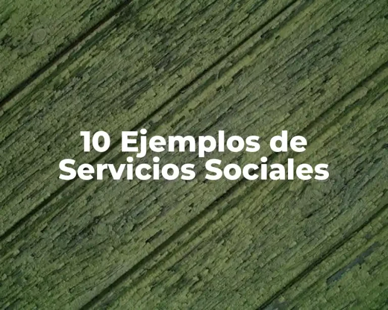10 Ejemplos de Servicios Sociales