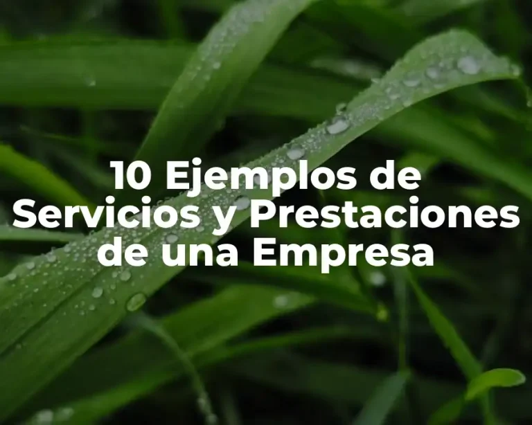 10 Ejemplos de Servicios y Prestaciones de una Empresa