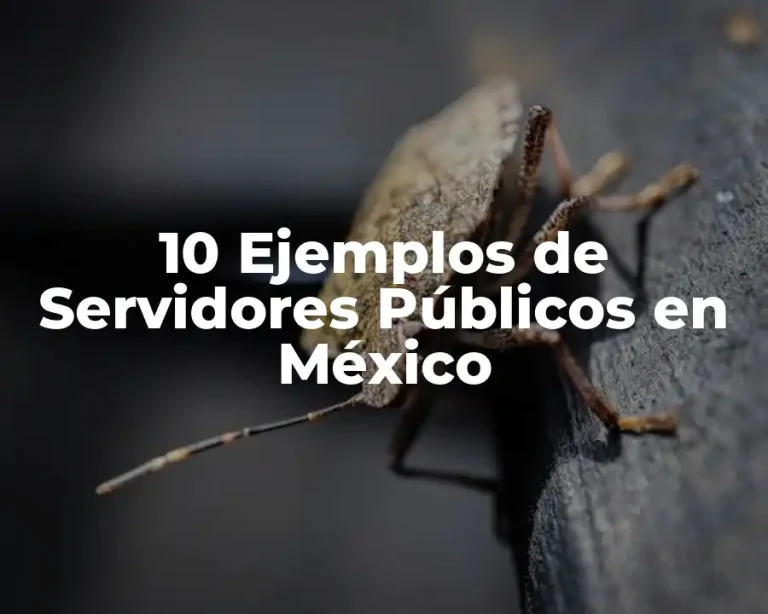 10 Ejemplos de Servidores Públicos en México