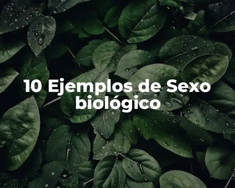 10 Ejemplos de Sexo biológico